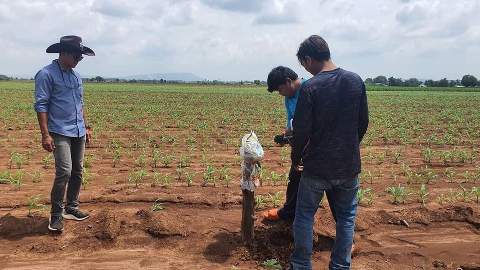 หน้างานอีกหนึ่งวัน #ฝังเสาแนวรังวัด    ดูแลทั้งก่อนและหลังการขาย #ที่ดินจัดสรรเวล999